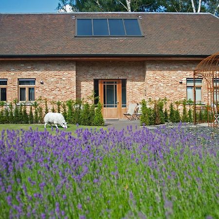 B&B Gielse Garden Gierle Exteriér fotografie